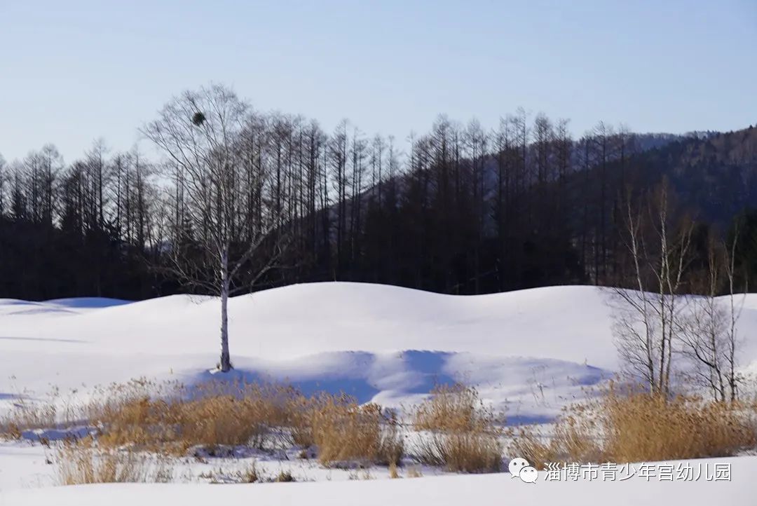 宫幼【大雪至  寒冬始】